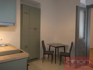 Pronájem bytu 1+1, Praha - Žižkov, Kubelíkova, 47 m2