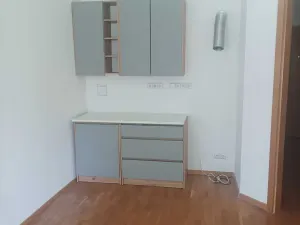 Pronájem bytu 2+kk, Praha - Vinohrady, Korunní, 50 m2