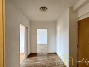 Prodej bytu 1+1, Novosedlice, Drahénská, 28 m2