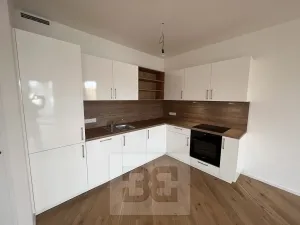 Prodej bytu 2+kk, Praha - Strašnice, Ramonova, 66 m2