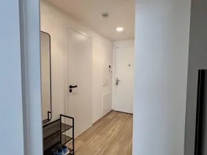 Pronájem bytu 2+kk, Praha - Žižkov, Malešická, 60 m2