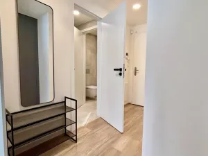 Pronájem bytu 2+kk, Praha - Žižkov, Malešická, 60 m2