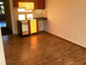 Pronájem bytu 2+kk, Praha - Vysočany, Freyova, 47 m2