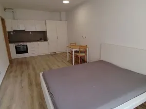 Pronájem bytu 1+kk, Moravany, Višňová, 33 m2
