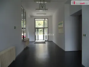 Pronájem komerční nemovitosti, Staré Město, Na Zbytkách, 2000 m2