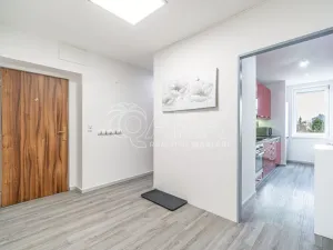 Pronájem bytu 3+1, Slaný, O. Scheinpflugové, 71 m2