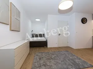 Pronájem bytu 1+kk, Praha - Karlín, Křižíkova, 32 m2