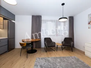 Pronájem bytu 1+kk, Praha - Karlín, Křižíkova, 32 m2