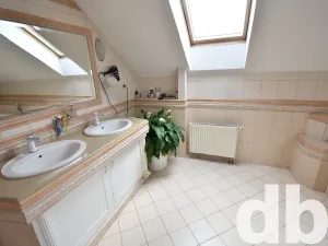 Prodej rodinného domu, Sadov, 366 m2