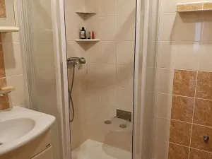 Prodej bytu 2+1, Přerov, Dvořákova, 56 m2