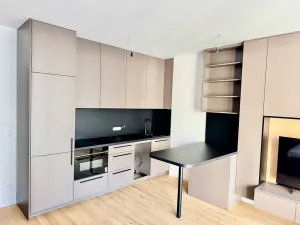 Pronájem bytu 1+kk, Brno, Bratislavská, 38 m2