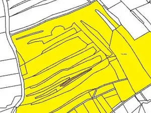 Prodej lesa, Častrov, 768 m2