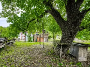 Prodej rodinného domu, Stařeč, Nádraží, 130 m2