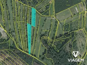 Prodej louky, Borotín, 2410 m2