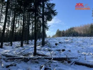 Prodej lesa, Horní Radechová - Slavíkov, 51351 m2