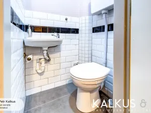 Pronájem bytu 3+kk, Hradec Králové, Smetanovo nábřeží, 75 m2