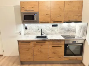 Pronájem bytu 1+kk, Praha - Záběhlice, Choceradská, 39 m2