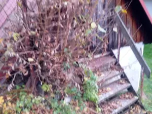 Dražba - jiné, Brumov-Bylnice, 14 m2