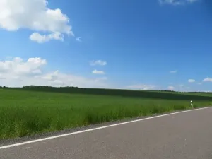 Dražba pole, Niva, 7239 m2