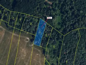 Dražba lesa, Přemyslovice, 1381 m2