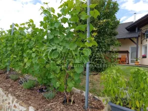 Prodej vícegeneračního domu, Srubec, 334 m2