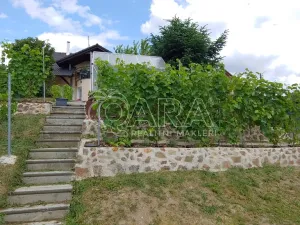 Prodej vícegeneračního domu, Srubec, 334 m2