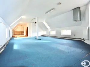 Pronájem obchodního prostoru, Vyžlovka, Pražská, 300 m2