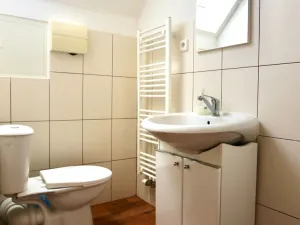 Pronájem obchodního prostoru, Vyžlovka, Pražská, 300 m2