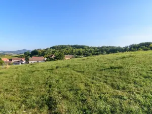 Prodej pozemku pro bydlení, Bystřany - Úpořiny, 14443 m2