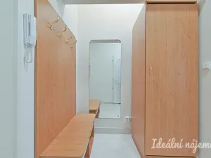 Pronájem bytu 1+1, Brno, Antonínská, 38 m2