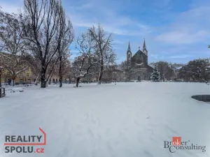 Pronájem bytu 3+1, Praha - Karlín, Sokolovská, 72 m2