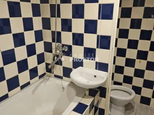 Prodej bytu 1+1, Ústí nad Labem, Plynárenská, 33 m2