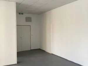 Pronájem obchodního prostoru, Přerov - Přerov I-Město, Šířava, 255 m2