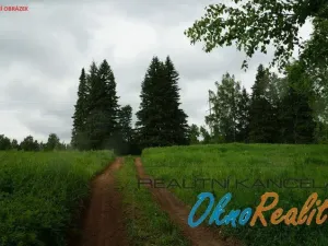 Prodej lesa, Dubňany, 442 m2