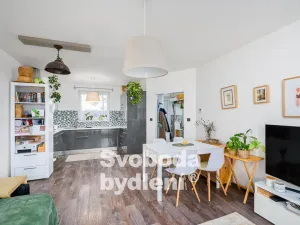Pronájem bytu 2+kk, Nová Ves, Nad Obcí, 50 m2