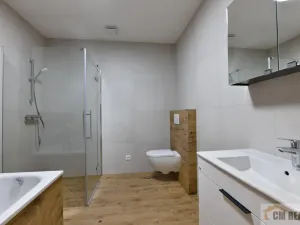 Pronájem bytu 3+kk, Bedihošť, Sv. Václava, 90 m2