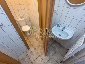 Pronájem obchodního prostoru, Mladá Boleslav - Mladá Boleslav I, Vodkova, 298 m2