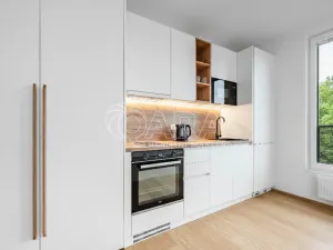 Pronájem bytu 1+kk, Praha, Litoměřická, 28 m2
