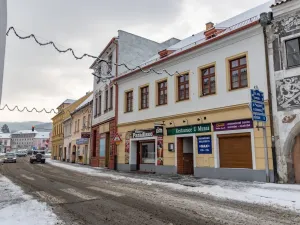 Pronájem restaurace, Sušice - Sušice I, Mostní, 116 m2