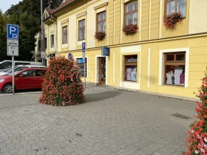 Pronájem obchodního prostoru, Nový Jičín, Gen. Hlaďo, 49 m2