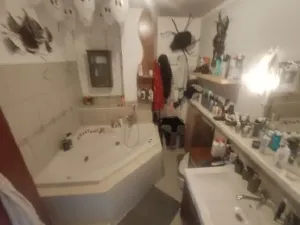 Dražba rodinného domu, Frýdek-Místek, Palkovická, 187 m2