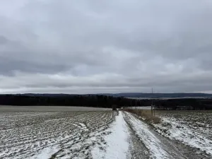 Dražba pole, Vyškov, 89174 m2
