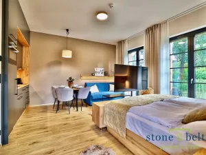 Prodej bytu 1+kk, Černý Důl, 39 m2