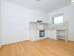 Pronájem bytu 1+kk, Liberec - Liberec XI-Růžodol I, Londýnská, 38 m2