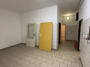 Pronájem obchodního prostoru, Želetava, Pražská, 188 m2