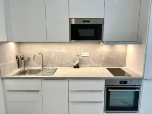 Pronájem bytu 1+kk, Praha, Plzeňská, 52 m2