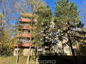 Pronájem bytu 2+kk, Brno, Podlesí, 39 m2