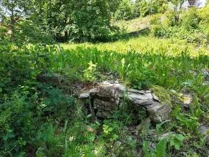 Prodej pozemku pro bydlení, Rokytnice v Orlických horách, 271 m2