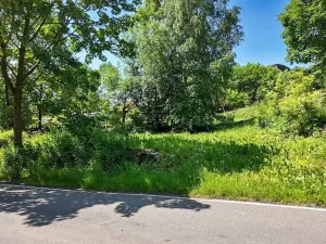 Prodej pozemku pro bydlení, Rokytnice v Orlických horách, 271 m2