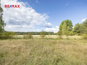 Prodej pozemku pro bydlení, Suchdol nad Lužnicí, 1001 m2